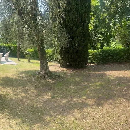 Eden 2